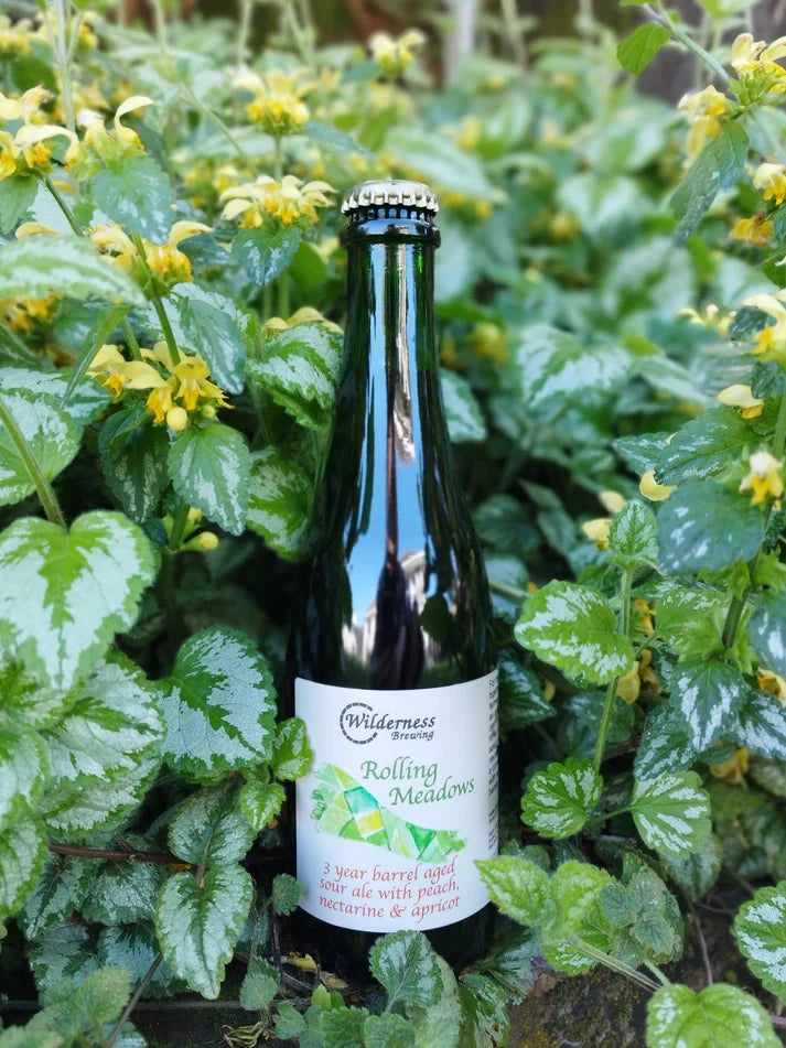 Beer Wilderness Brewing - "Rolling Meadows" Barrel Aged Sour Beer with Stonefruit