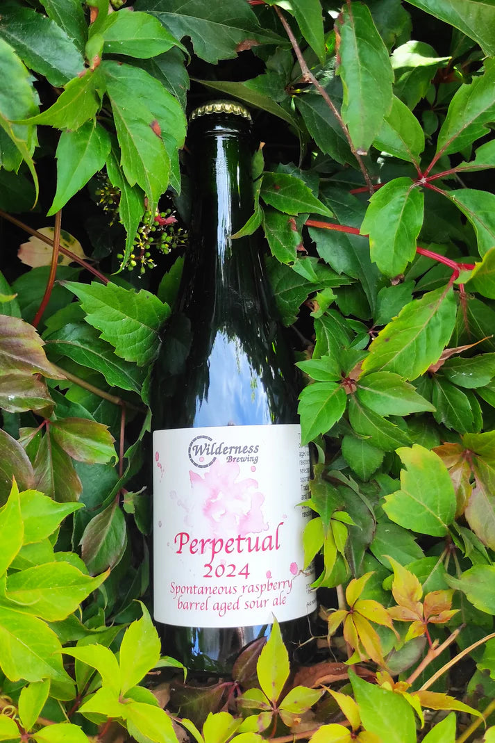 Beer Wilderness Brewing - "Perpetual 2024" Raspberry Barrel Aged Sour Beer