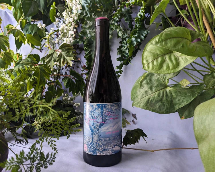 wine A Thousand Gods Wines | 2023 Love Letters Light Pinot Noir