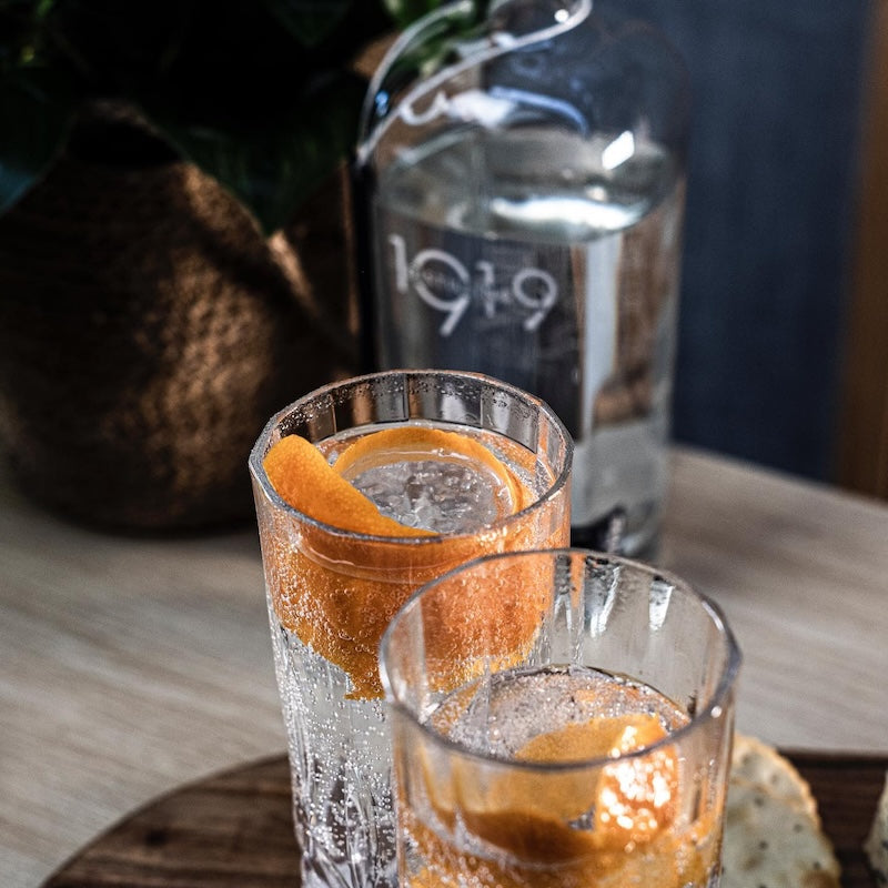 Classic 1919 Classic Gin