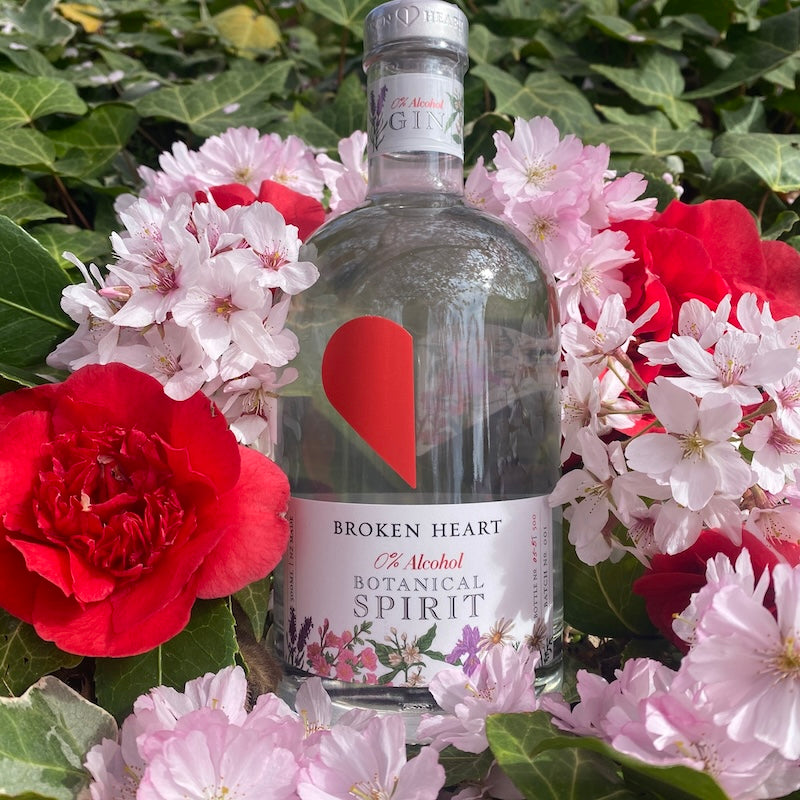 Non-Alcoholic Broken Heart 0% Alcohol Botanical Spirit