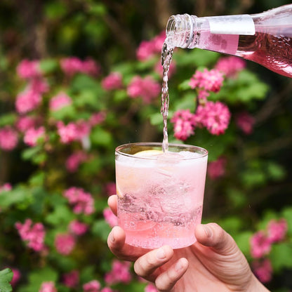 Fever-Tree Wild Raspberry Tonic